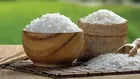 Giá lúa gạo hôm nay 21/6/2022: Giá lúa tăng 200 đồng/kg