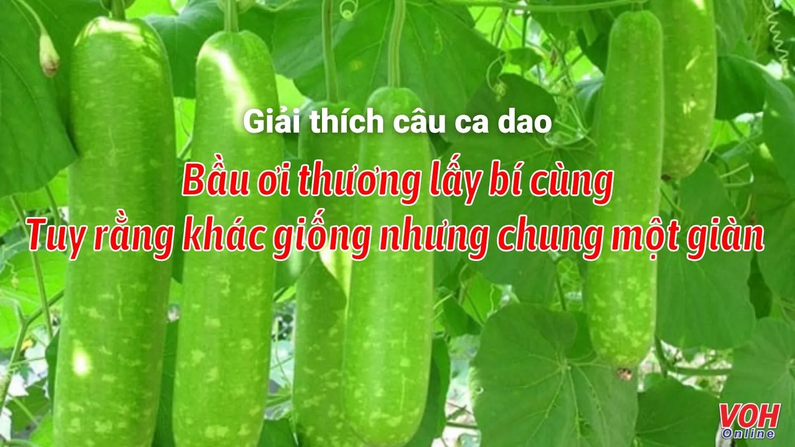 4. Những ví dụ thực tiễn của lòng yêu thương trong cuộc sống