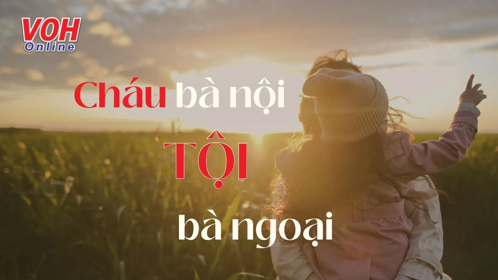 Giải thích ý nghĩa câu thành ngữ ‘Cháu bà nội tội bà ngoại’ là gì?