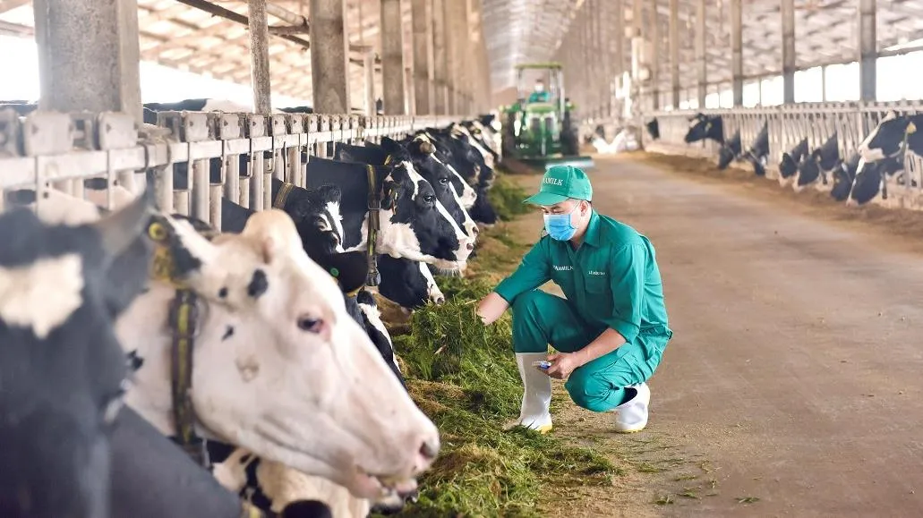 Mô hình phát triển bền vững “Vinamilk Green Farm” được chia sẻ tại hội nghị sữa toàn cầu