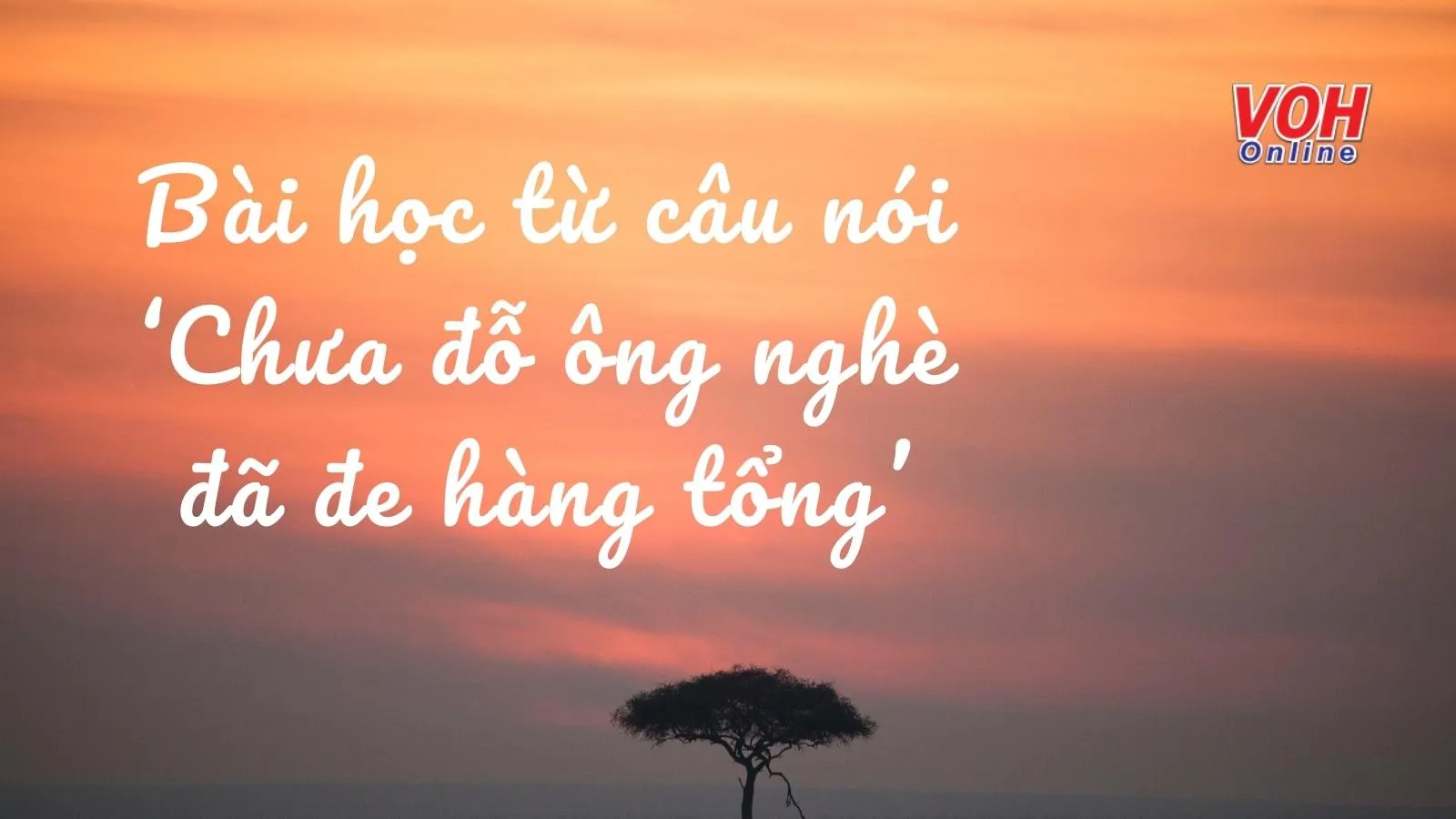 Giải thích ý nghĩa câu nói ‘Chưa đỗ ông nghè đã đe hàng tổng’ dạy điều gì?