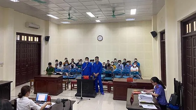 10 năm 6 tháng tù - cái giá quá đắt của phụ xe vận chuyển rùa trái phép