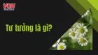 Tư tưởng là gì? Những nhà tư tưởng vĩ đại của nhân loại