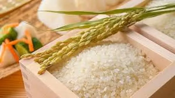 Giá lúa gạo hôm nay 24/6: Giá gạo xuất khẩu từ 383 – 418 USD/tấn