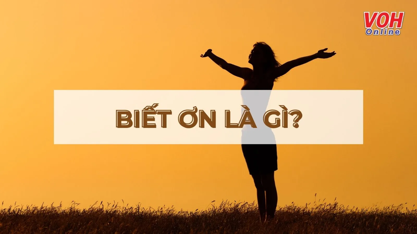 Lòng biết ơn là gì? Ý nghĩa của lòng biết ơn trong đời sống hiện nay?