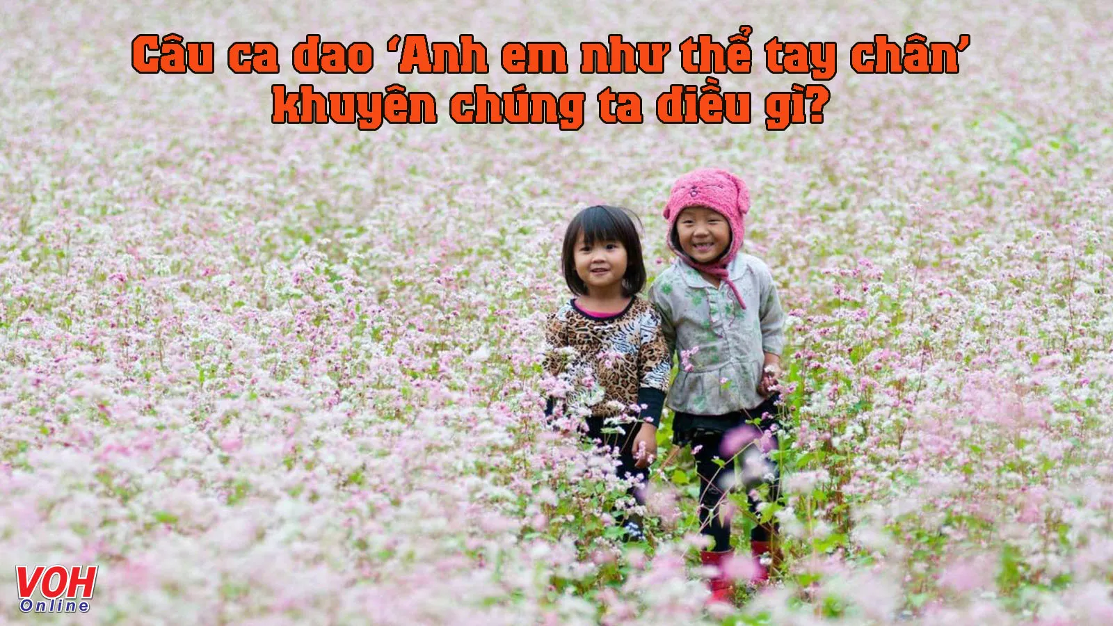 Giải thích ý nghĩa câu ca dao ‘Anh em như thể tay chân’ khuyên chúng ta điều gì?