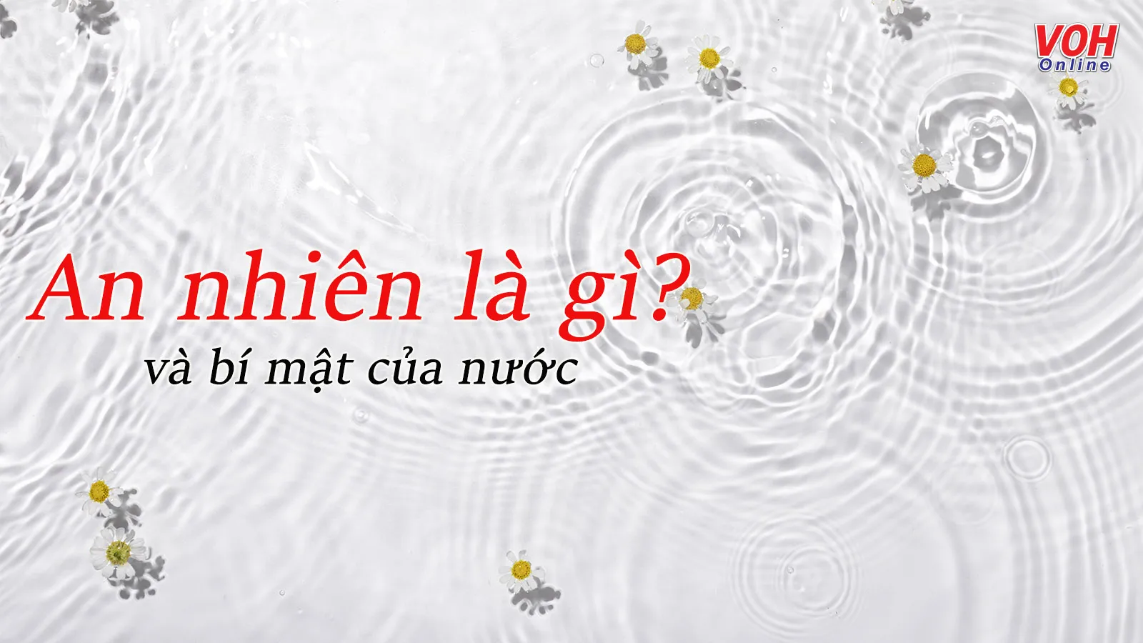 An nhiên là gì? Liệu có cuộc sống an nhiên tự tại giữa cuộc sống hiện đại?