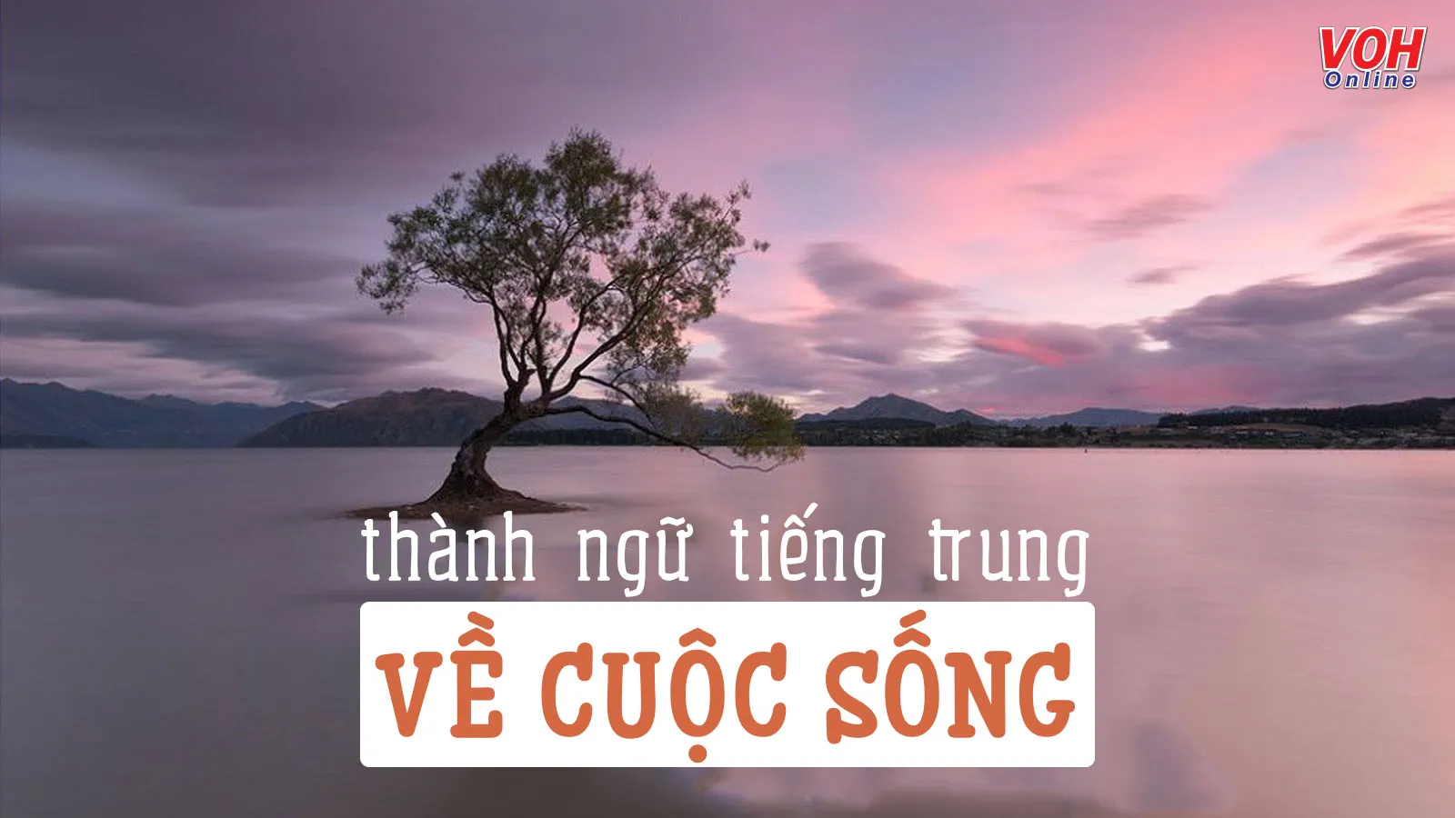 55+ câu thành ngữ tiếng Trung Quốc về cuộc sống ý nghĩa