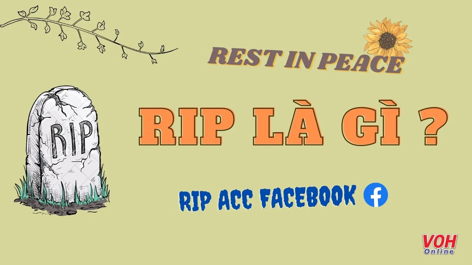 RIP là gì? Ý nghĩa của từ RIP trên facebook là gì?