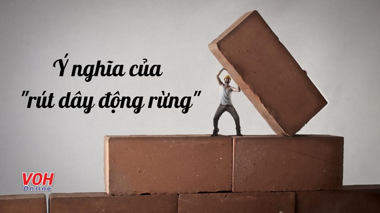 Giải thích ý nghĩa câu tục ngữ ‘Rút dây động rừng’ nói đến điều gì?