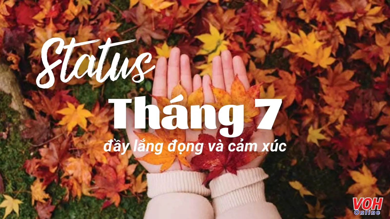 Stt tháng 7 hài hước, status chào tháng 7 may mắn