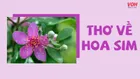 Top 24 bài thơ về hoa sim lãng mạn