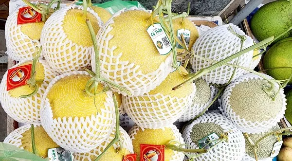 Giá cả thị trường hôm nay 2/7/2022: Dưa lưới 40.000 đồng/kg