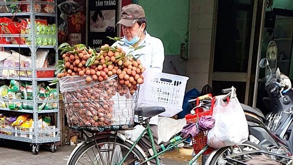 Giá cả thị trường hôm nay 7/7/2022: Vải thiều được mùa được giá