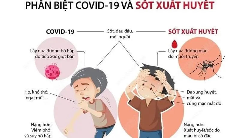 Phân biệt triệu chứng Covid-19 và sốt xuất huyết