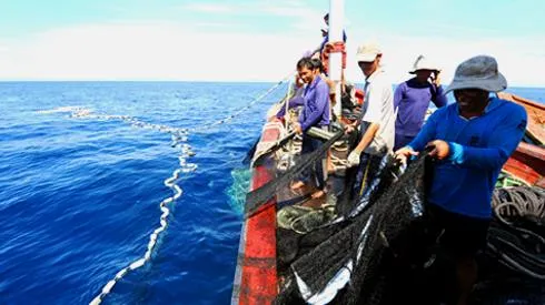 Nhiều giải pháp tháo gỡ thẻ vàng cho nghề cá Việt Nam