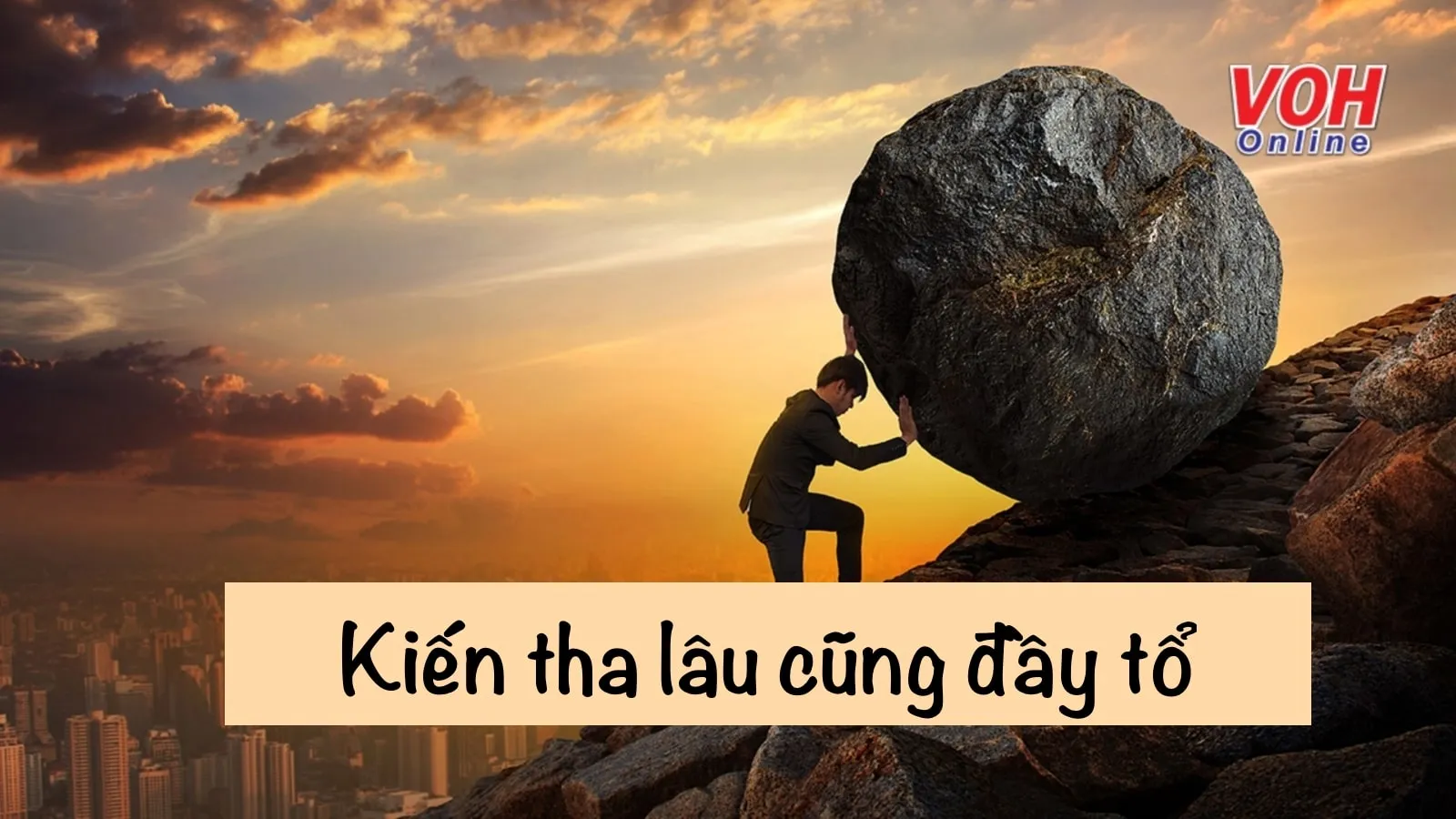 Câu tục ngữ ‘Kiến tha lâu cũng đầy tổ’ có nghĩa là gì?