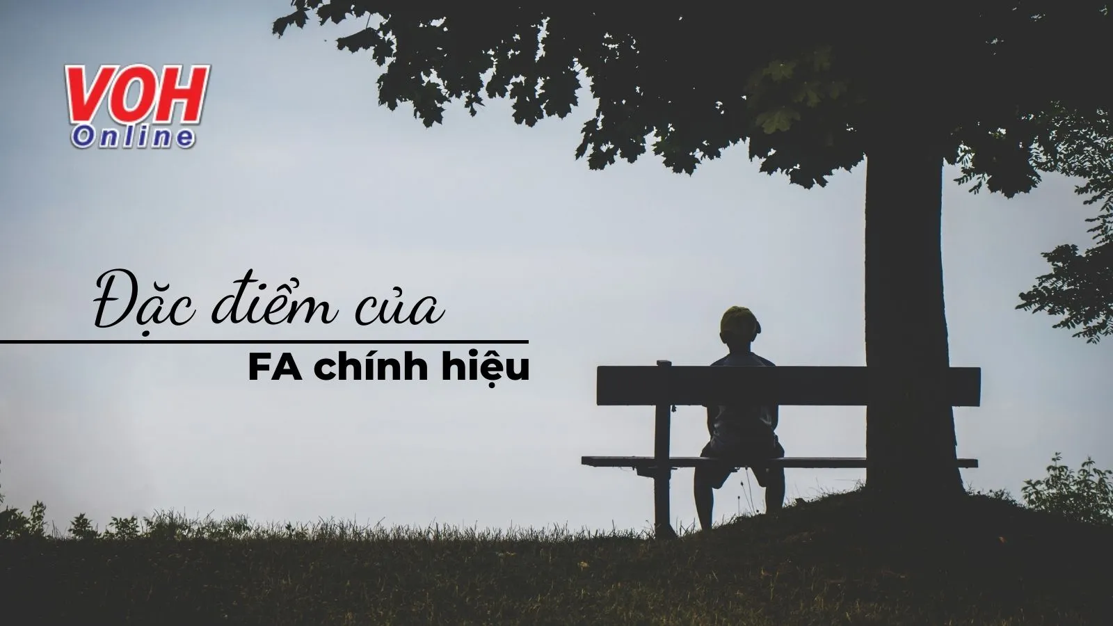 FA là gì? Những đặc điểm của một FA điển hình