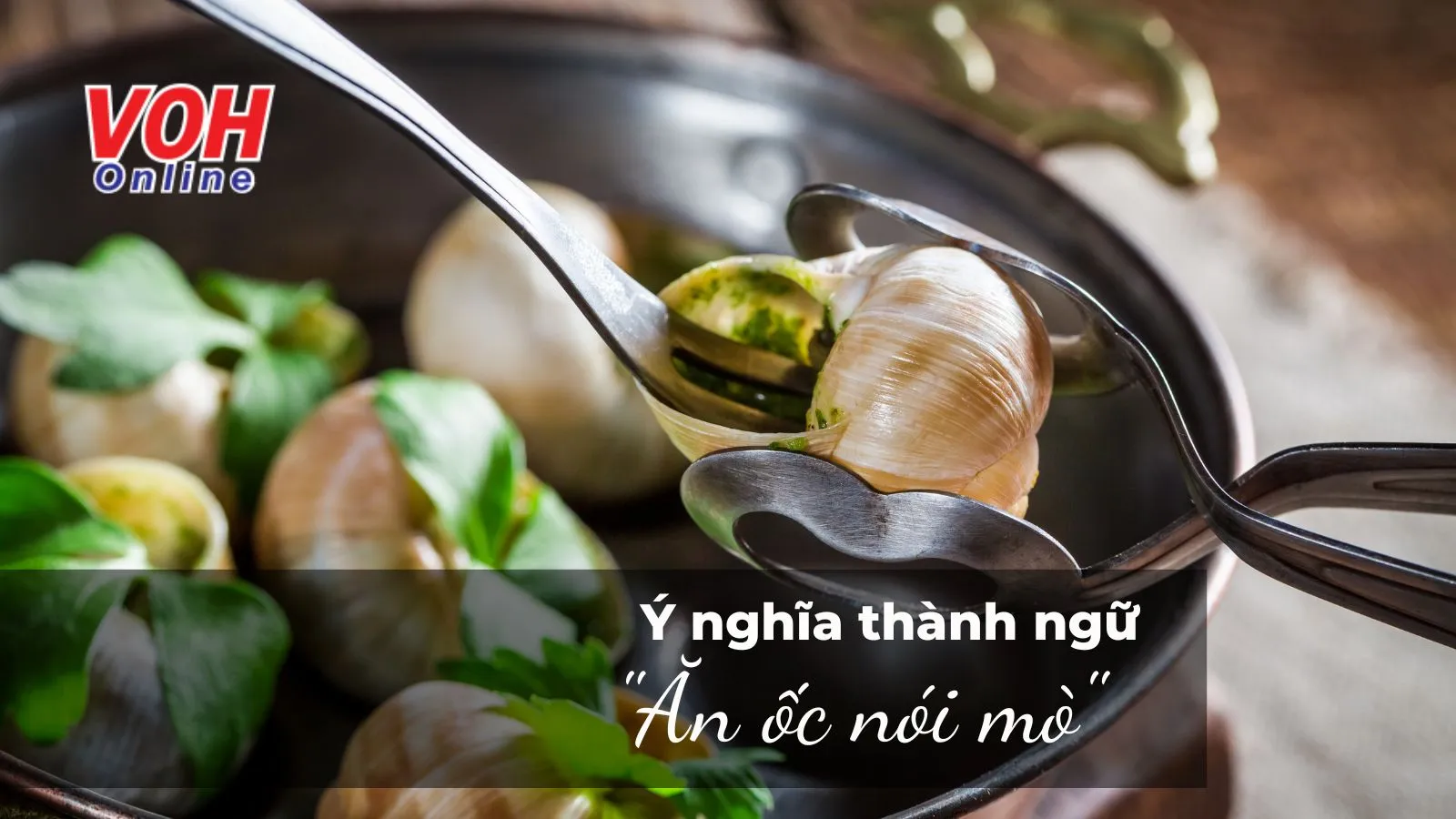 Giải thích ý nghĩa câu thành ngữ “Ăn ốc nói mò” là gì?