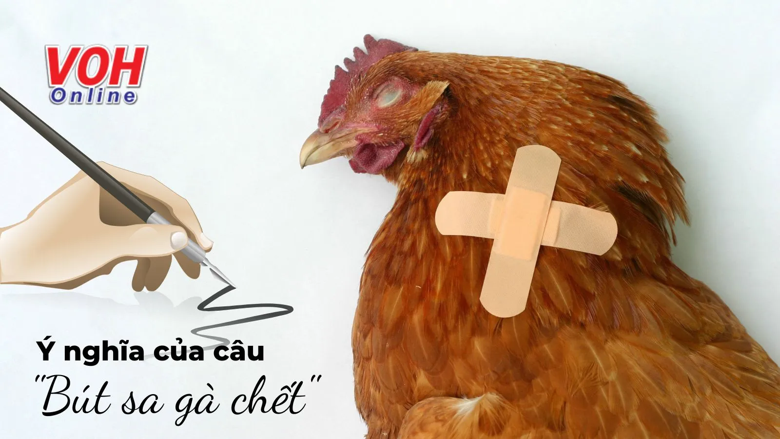 Câu ‘Bút sa gà chết’ có ý nghĩa gì trong cuộc sống?