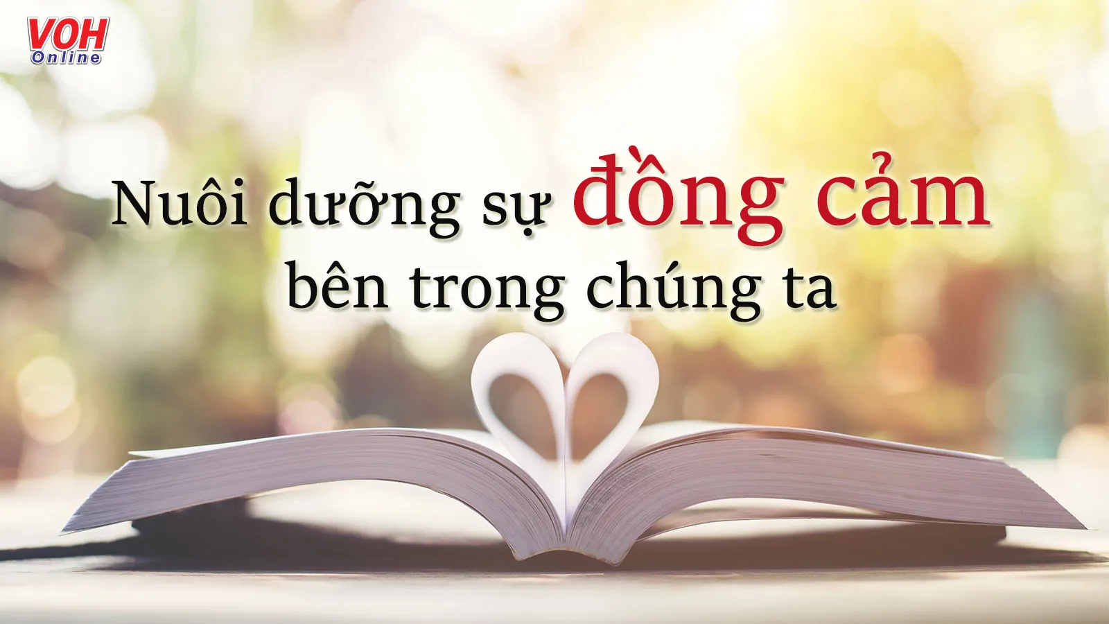 Đồng cảm là gì? Ý nghĩa của sự đồng cảm đối với xã hội loài người