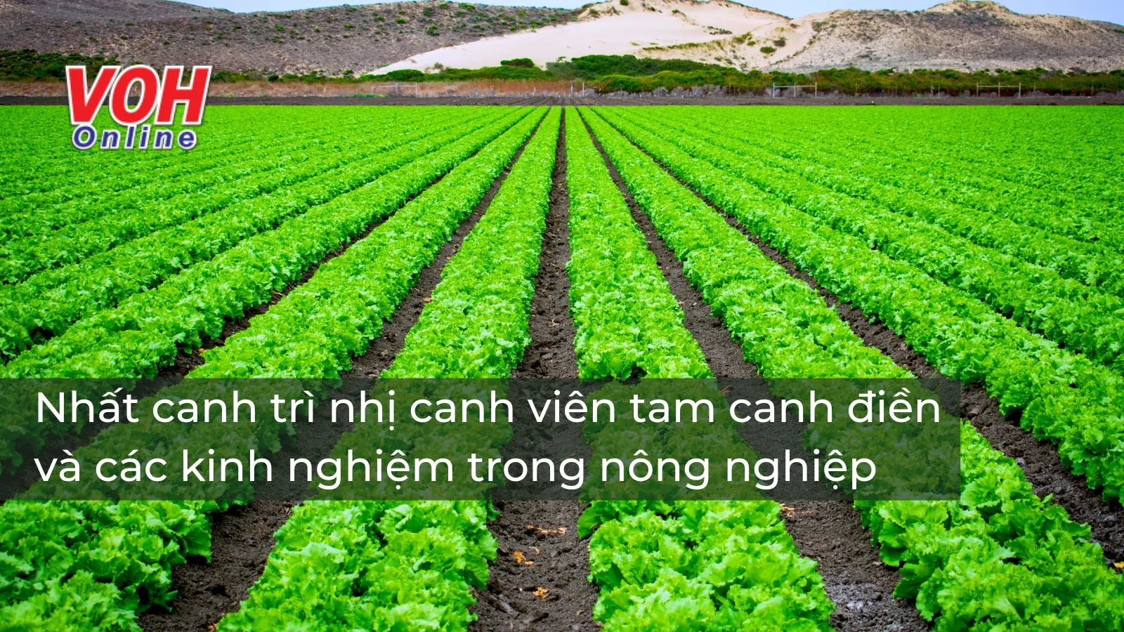 Giải thích ý nghĩa câu tục ngữ “Nhất canh trì nhị canh viên tam canh điền” nói đến điều gì?