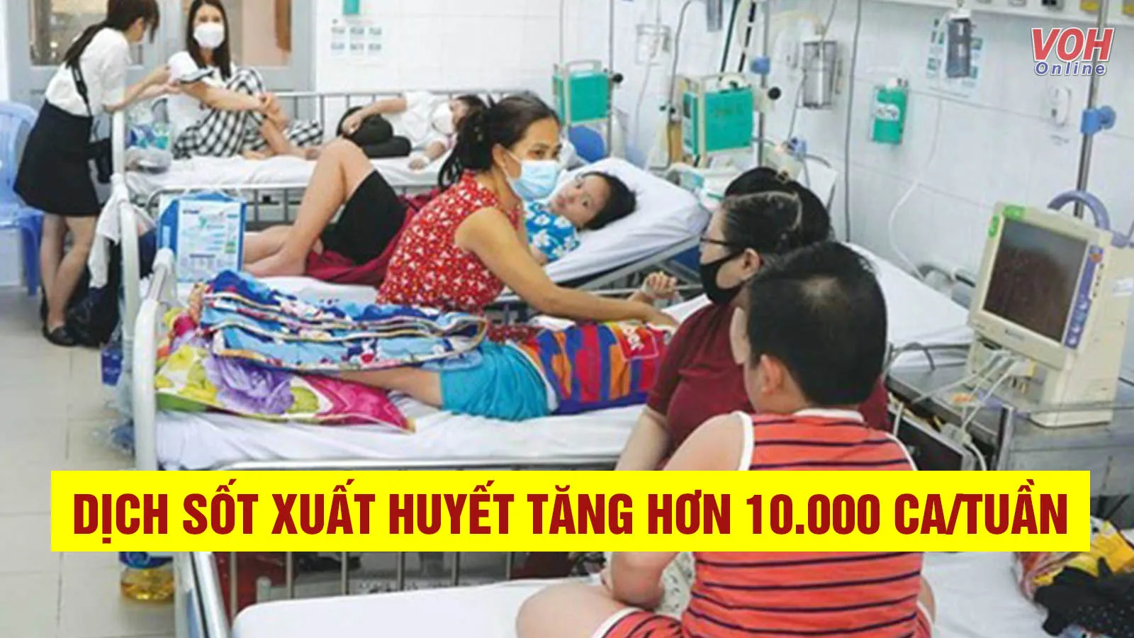 Tin nhanh trưa 20/7: Dịch sốt xuất huyết tăng hơn 10.000 ca/tuần