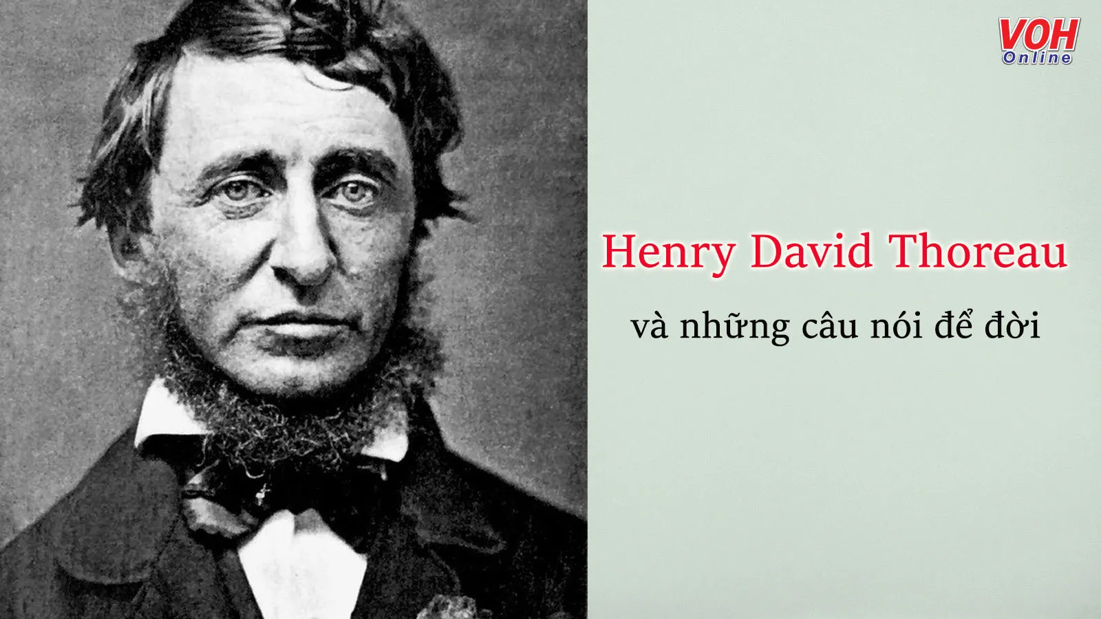 65 danh ngôn, câu nói hay của nhà văn Henry David Thoreau