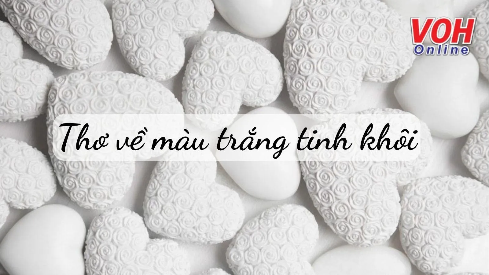 16 bài thơ về màu trắng tinh khôi hay và lãng mạn nhất