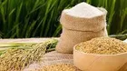 Giá lúa gạo hôm nay 26/7/2022: Giám gạo chững lại, giá cám giảm 400 – 500 đồng/kg