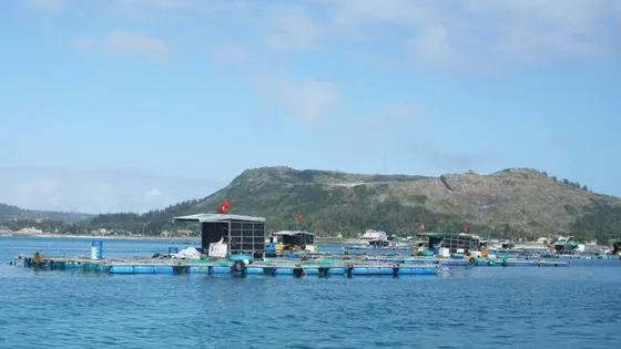 Chấm dứt sử dụng hóa chất độc hại trong nuôi trồng thủy sản