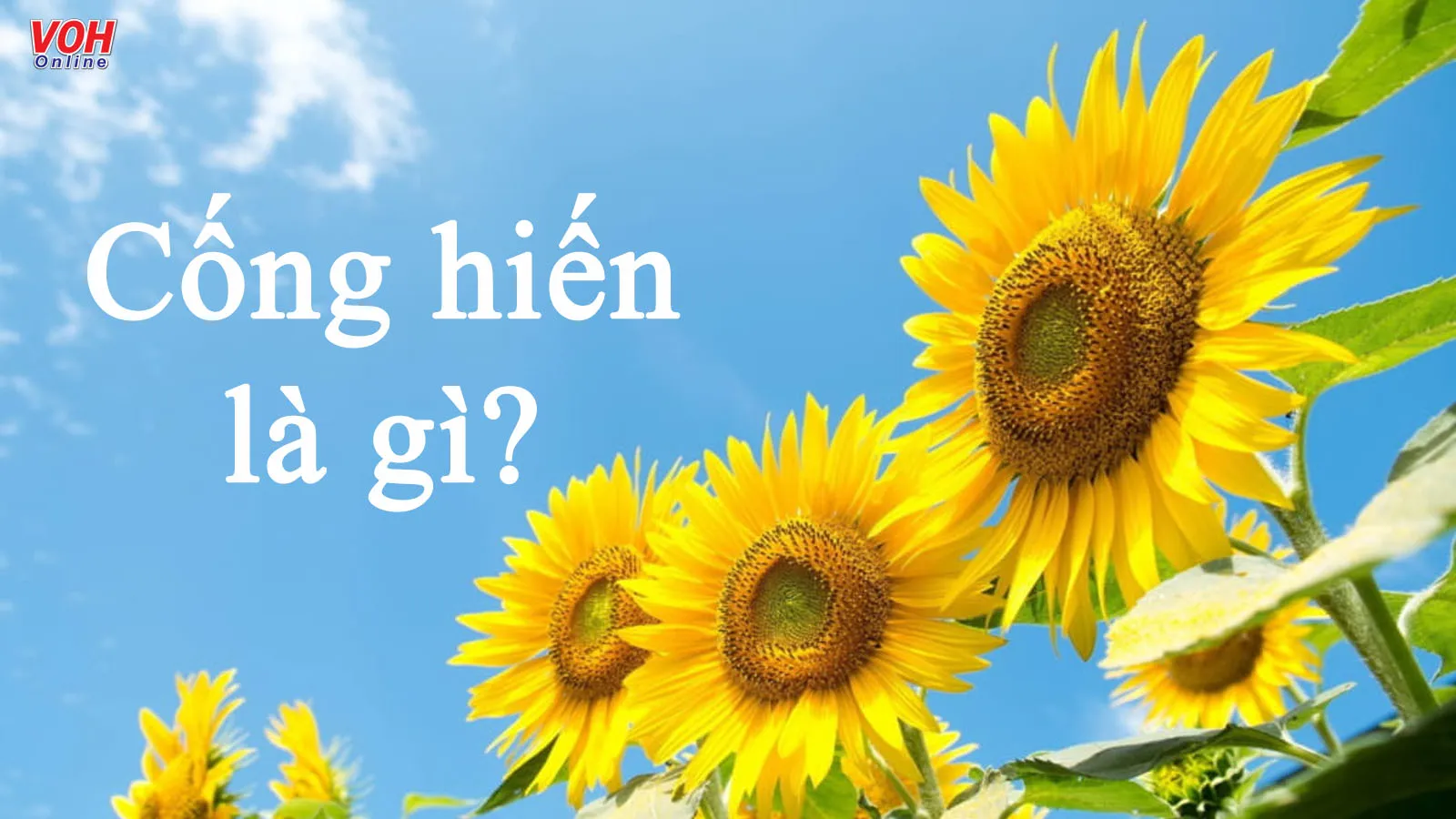 Cống hiến là gì? Tấm gương sống cống hiến truyền động lực trong xã hội