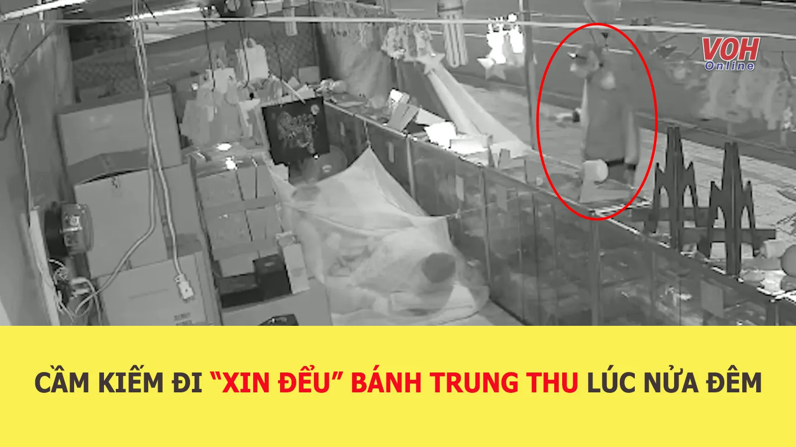 Tin nhanh chiều 12/8: Nhóm thanh niên đi ô tô cầm kiếm xin đểu bánh trung thu