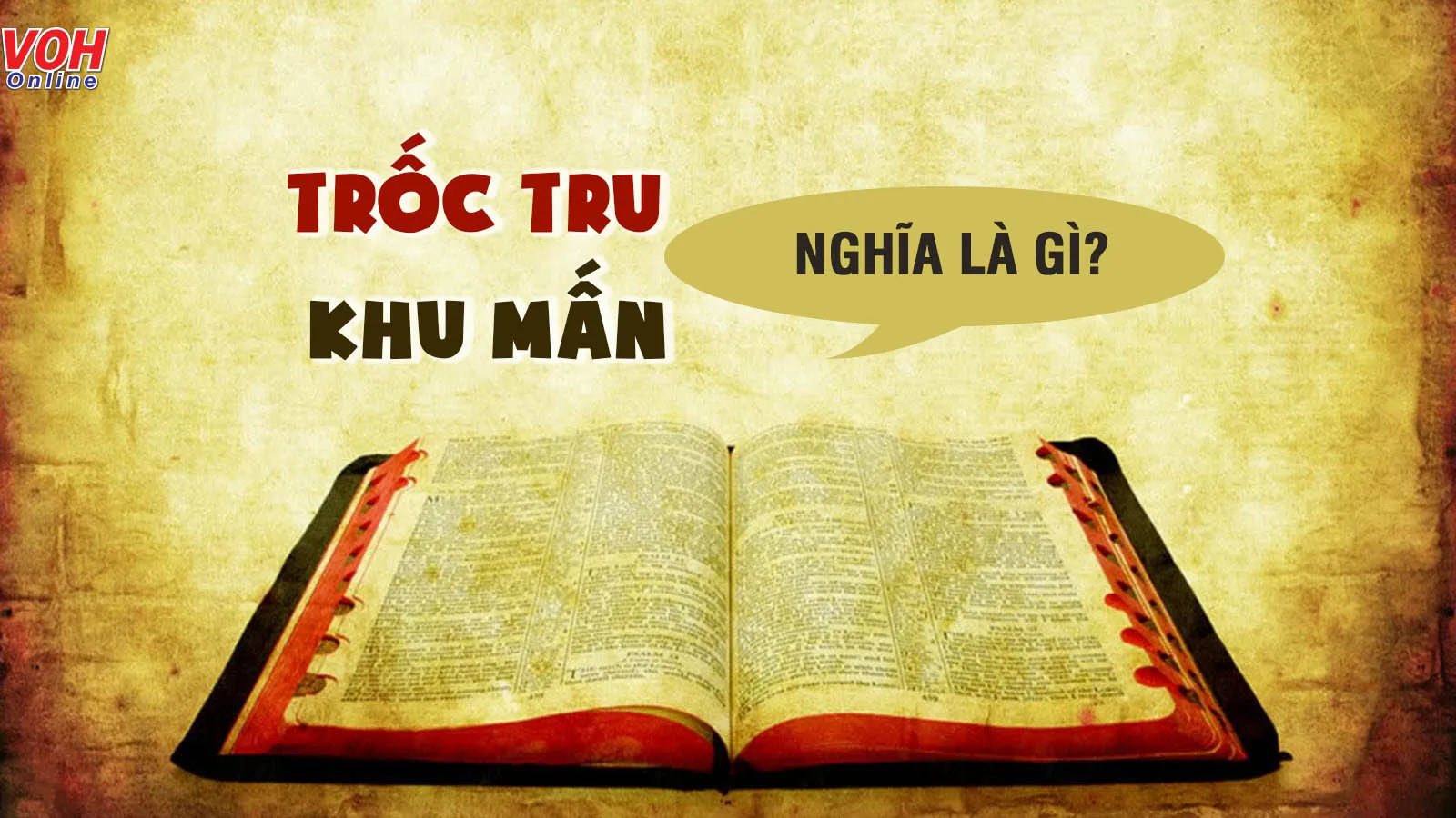 Trốc tru là gì? Khu mấn là gì? Phương ngữ miền Trung sẽ khiến bạn bất ngờ