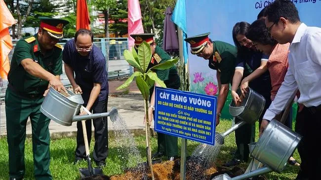 Cây bàng vuông sống mãi trong lòng của nhân dân Củ Chi đất thép thần đồng