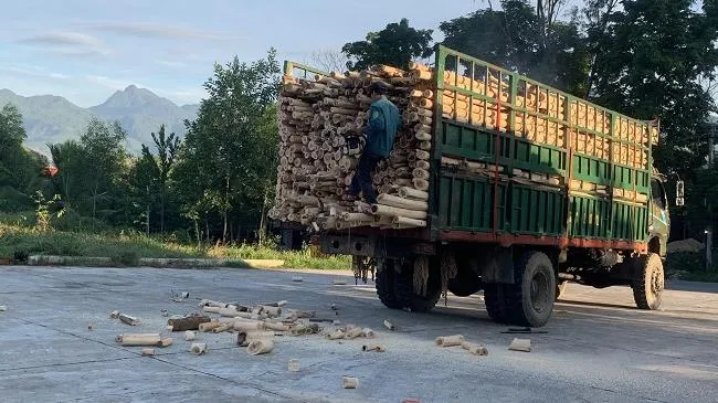 Quảng Ngãi: Tước hàng trăm giấy phép lái xe vì vi phạm luật giao thông