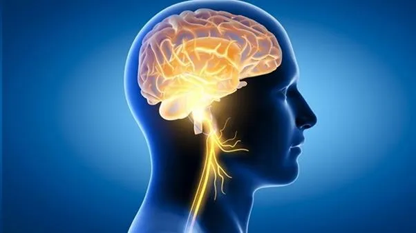 Não thiếu dinh dưỡng nguy hiểm thế nào? Làm sao để bổ sung dưỡng chất cho thần kinh hiệu quả?