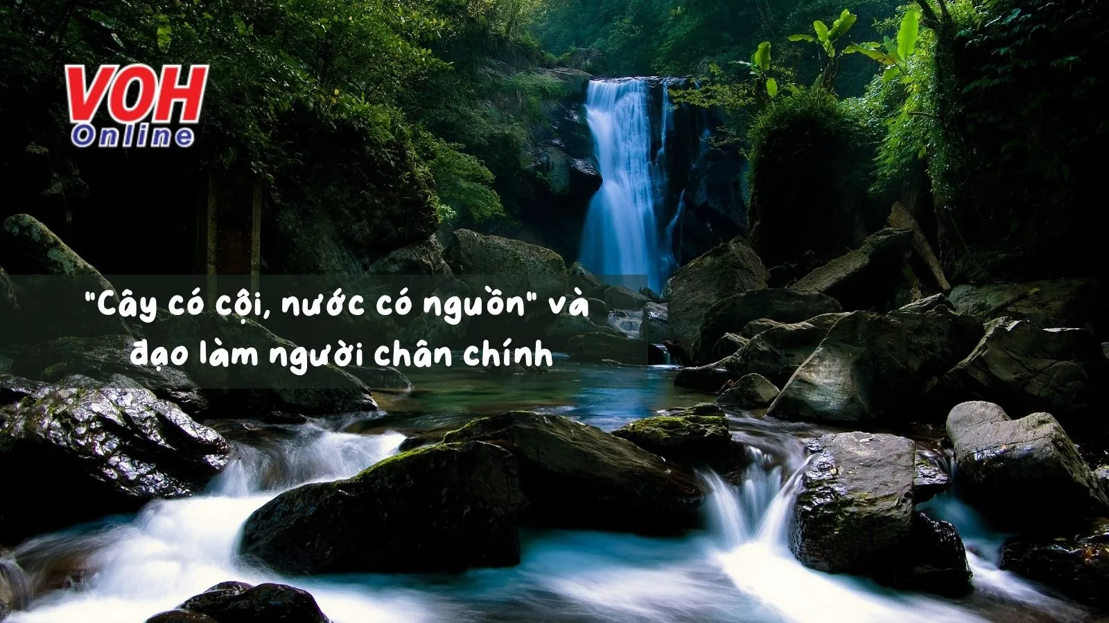 Giải thích ý nghĩa tục ngữ Cây có cội nước có nguồn” nói đến điều gì?