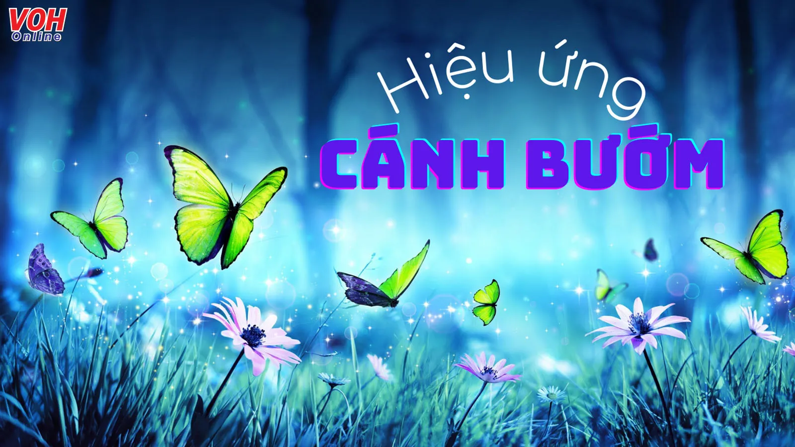 Hiệu ứng cánh bướm là gì? Ý nghĩa của hiệu ứng cánh bướm trong đời sống