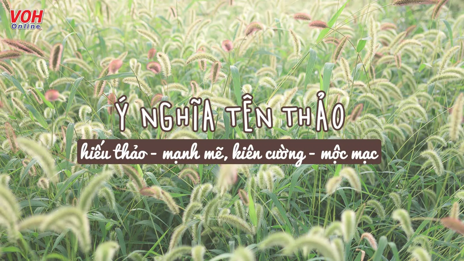 Ý nghĩa tên Thảo và cách đặt biệt danh, tên đệm hay cho tên Thảo