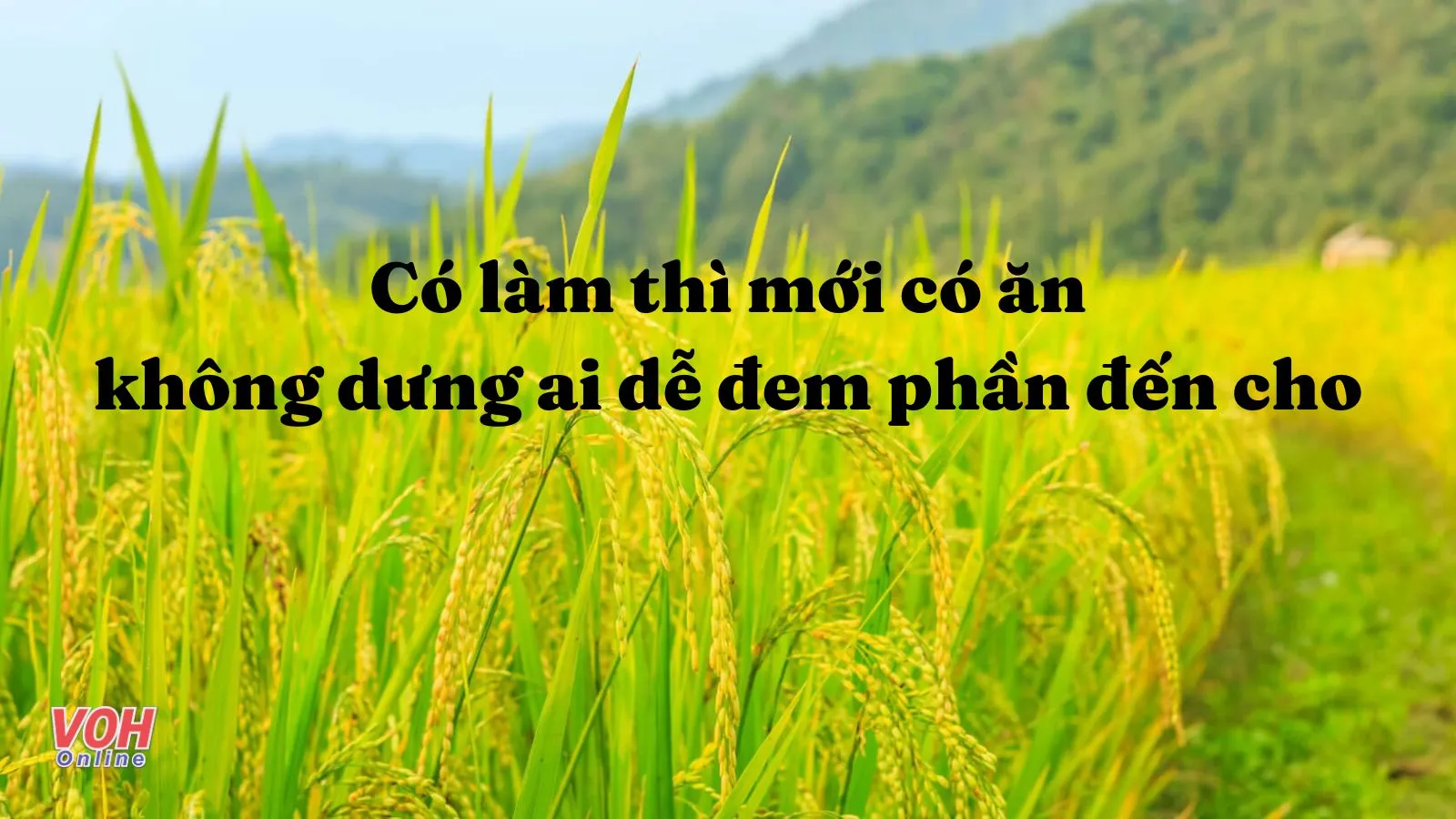 Giải thích ý nghĩa tục ngữ Có làm thì mới có ăn không dưng ai dễ đem phần đến cho