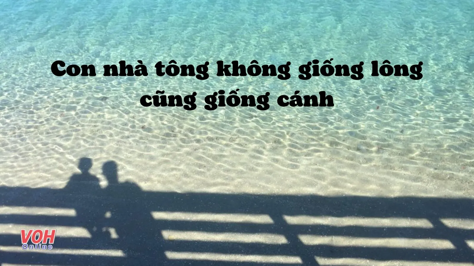 Giải thích ý nghĩa tục ngữ Con nhà tông không giống lông cũng giống cánh