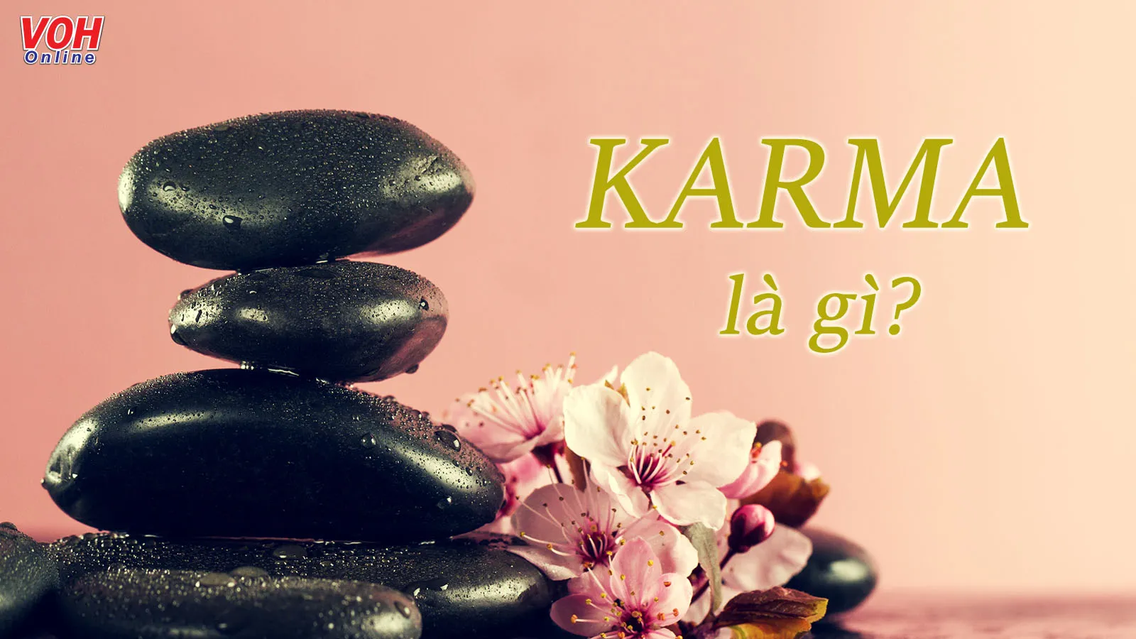 Karma là gì? Ý nghĩa của karma nhân quả báo ứng trong cuộc sống