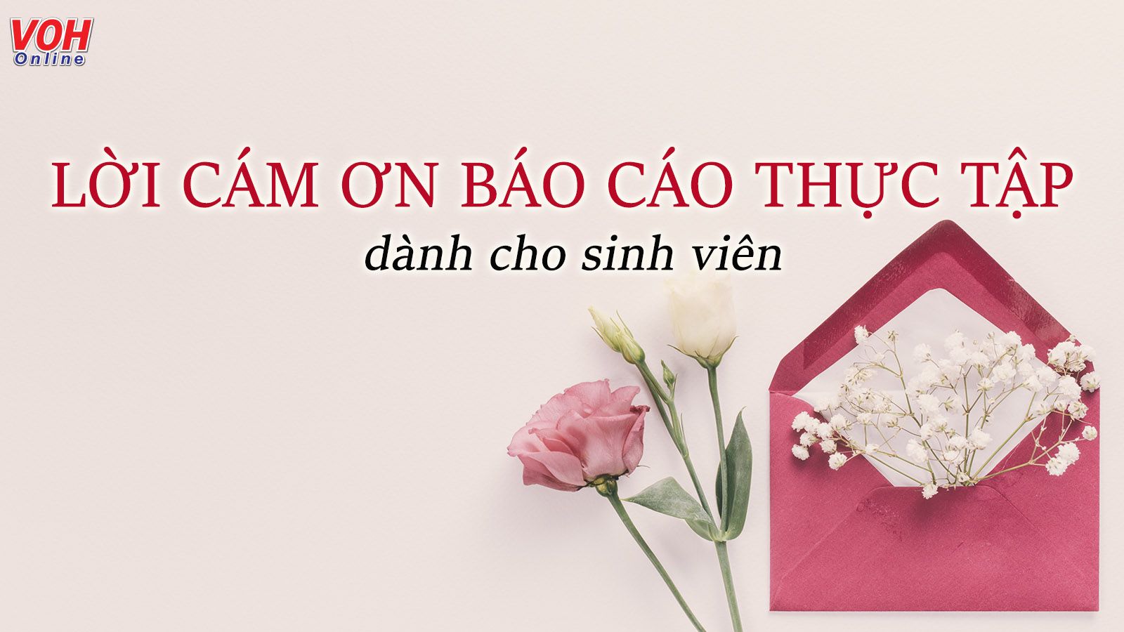 23 mẫu lời cám ơn báo cáo thực tập tốt nghiệp dành cho mọi ngành nghề