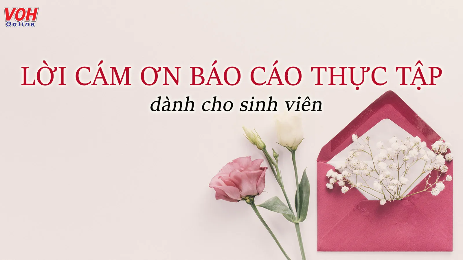23 mẫu lời cám ơn báo cáo thực tập tốt nghiệp dành cho mọi ngành nghề