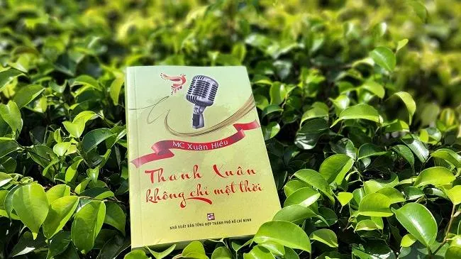 Thanh xuân không chỉ một thời - ăm ắp tình cảm dành cho TP