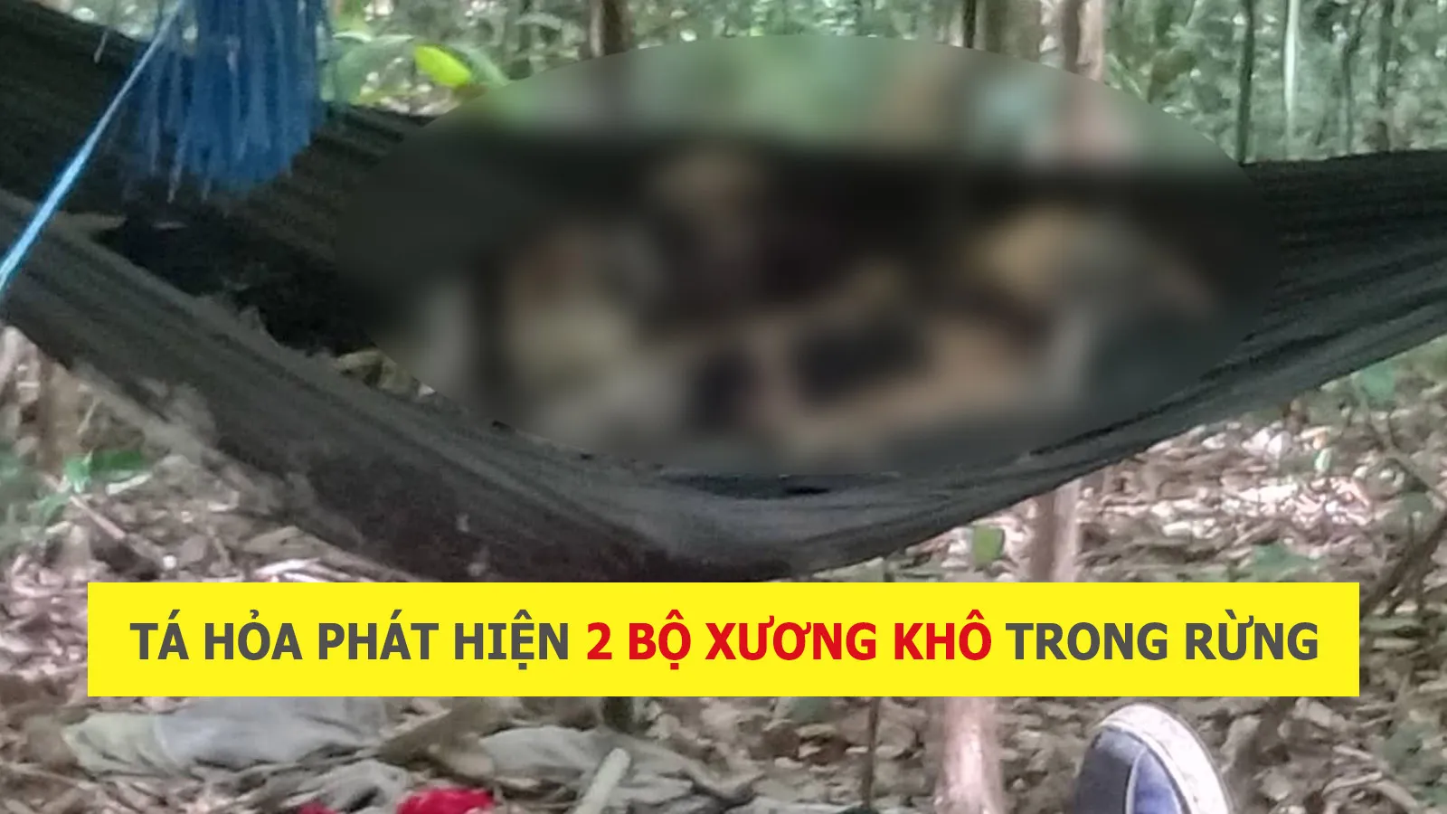 Tin nhanh sáng 24/8: Phát hiện hai thi thể chỉ còn xương nằm trên võng trong rừng