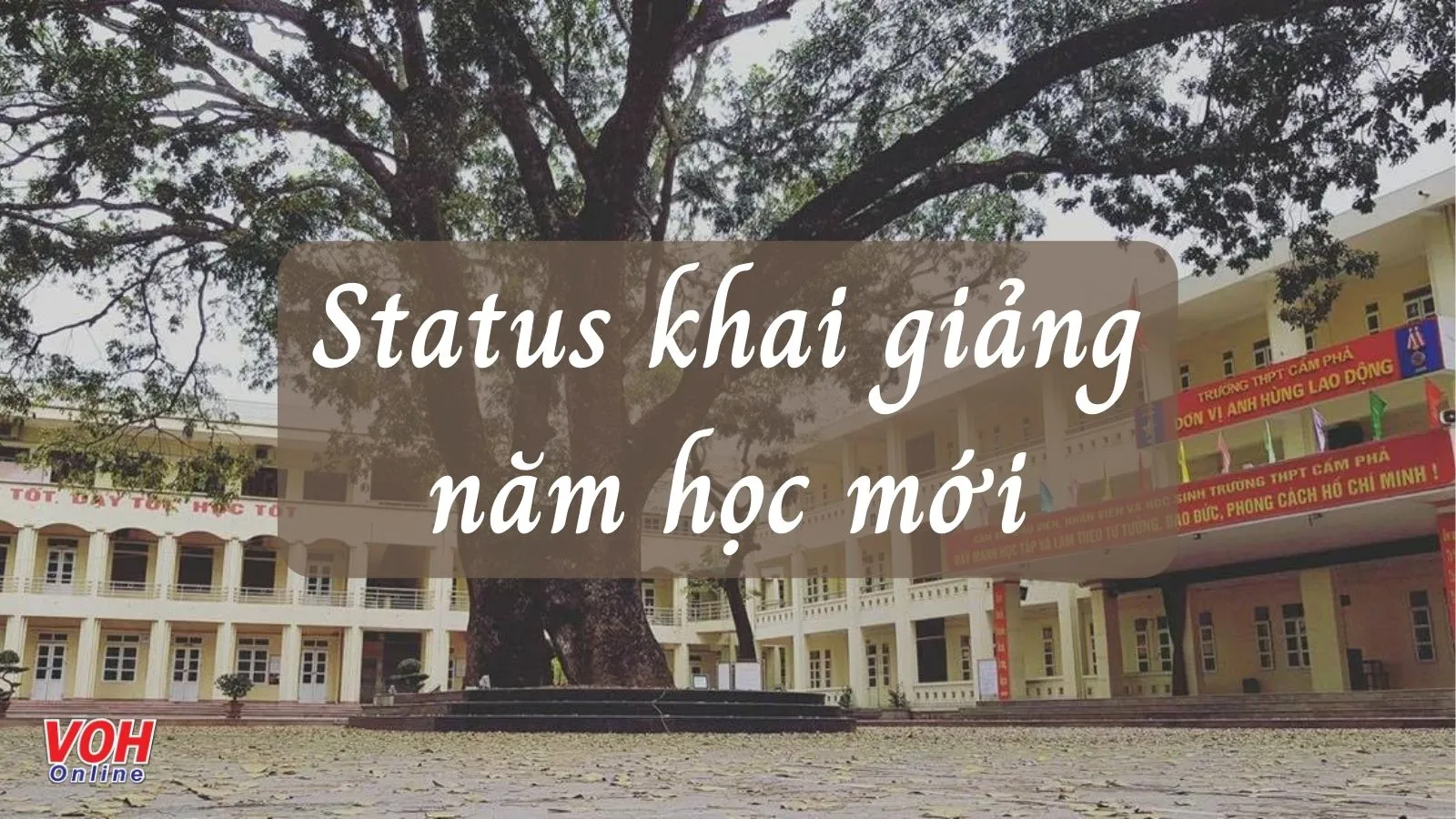 40 status khai giảng năm học mới, cap hay ngày tựu trường năm học mới