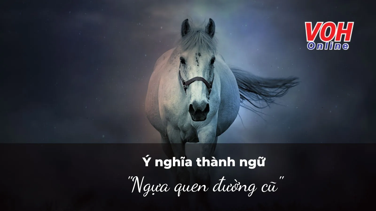 Giải thích ý nghĩa thành ngữ “Ngựa quen đường cũ” nói đến điều gì?