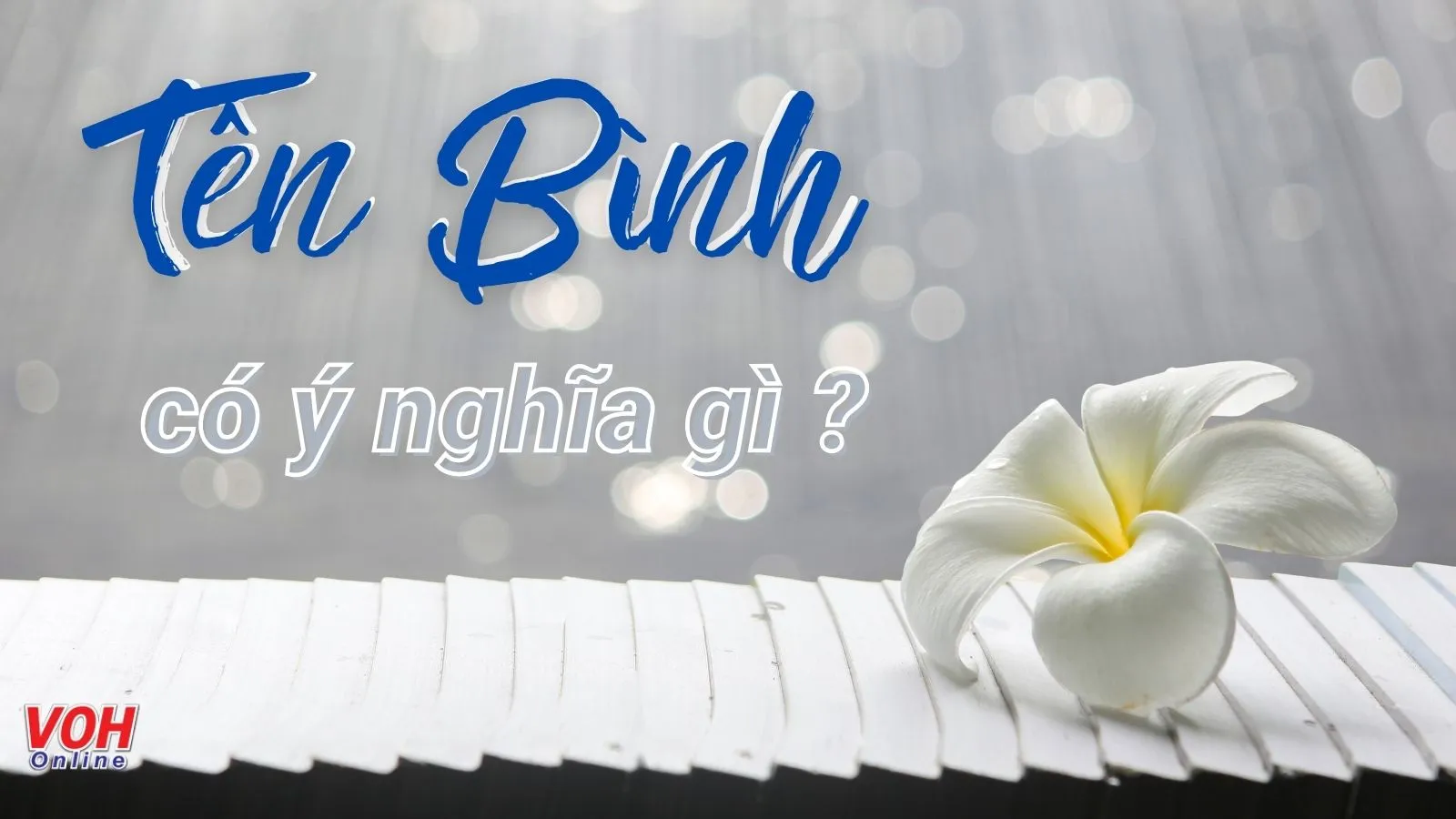 Tên Bình có ý nghĩa gì? Tên đệm và biệt danh cho tên Bình độc đáo và ý nghĩa nhất